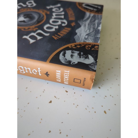 THE SPINNING MAGNET: Electromagnetic Force That Created & Could Destroy World - Picture 3 of 8